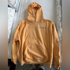 Harry Styles Pleasing Logo Hoodie